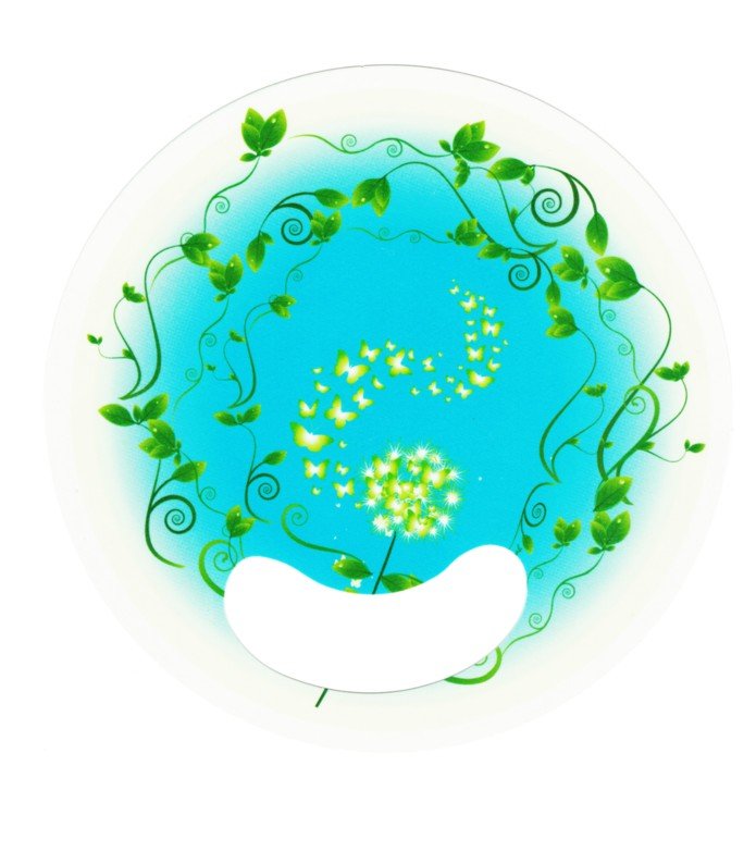 Floral design hand fans